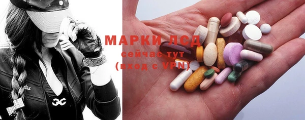 прущие грибы Абаза