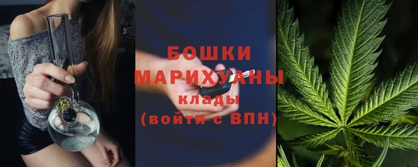 прущие грибы Абаза