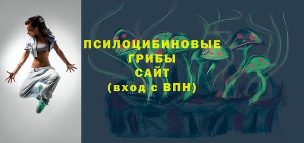 прущие грибы Абаза