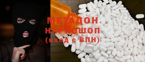 прущие грибы Абаза
