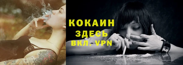 прущие грибы Абаза