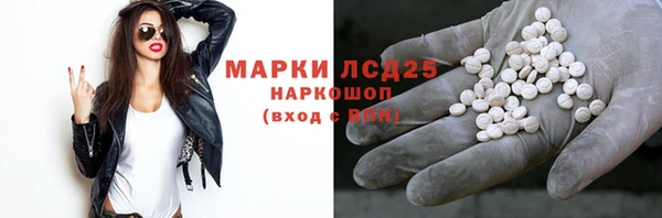 прущие грибы Абаза