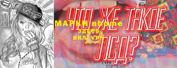 прущие грибы Абаза