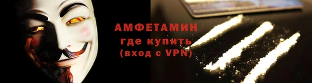 прущие грибы Абаза