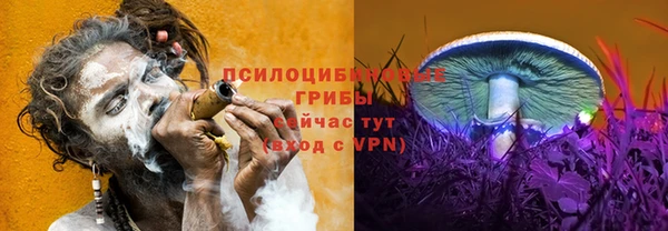 гашиш Абинск
