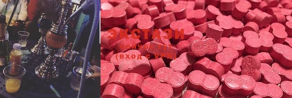 прущие грибы Абаза