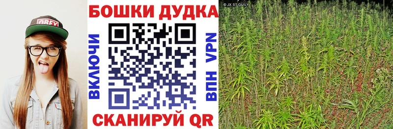 Бошки Шишки планчик даркнет сайт Чегем